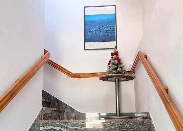 Gradska Kavana 招待所